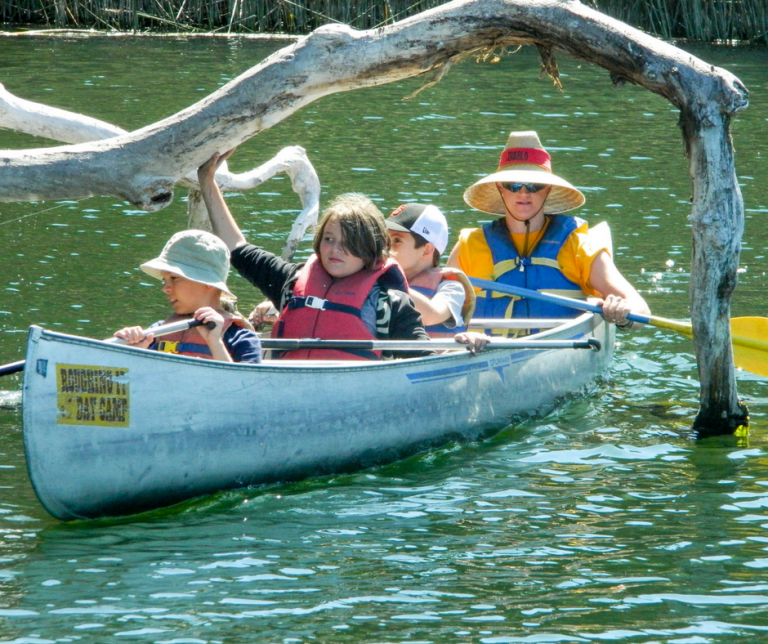 Walnut Creek Summer Camps Roughing It Day Camp